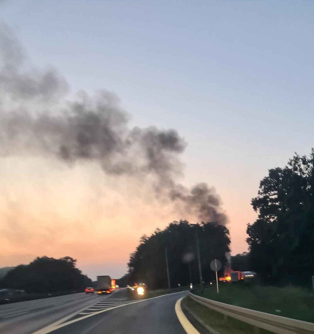 20250813_205429 zugeschnitten.jpg